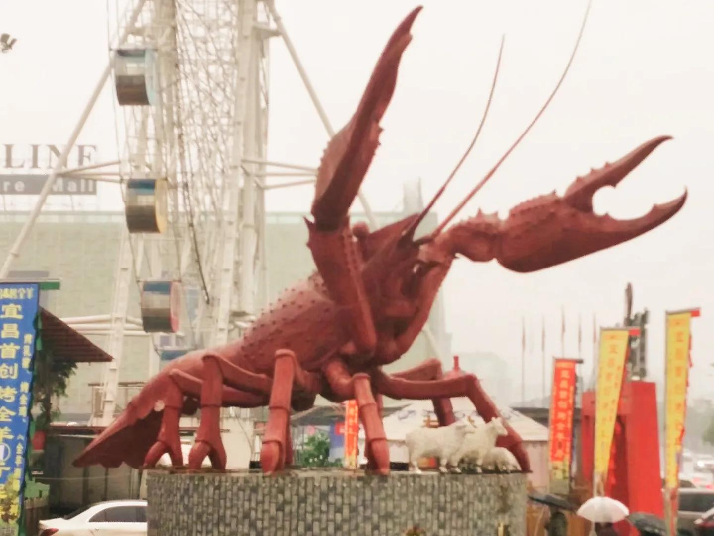 宜昌今日猪价,宜昌宜都新闻最新消息