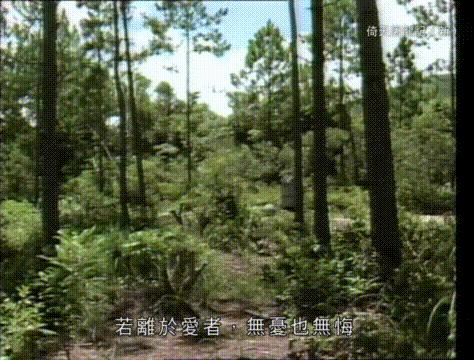 80年代的梁朝伟版倚天屠龙记,倚天屠龙记梁朝伟版六大高手对决