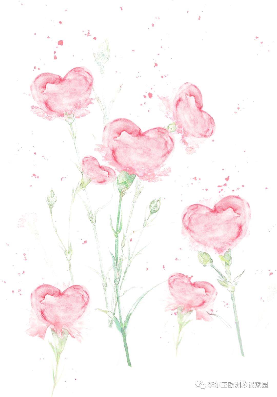 塞浦路斯到底值不值得投资,塞浦路斯真实成本