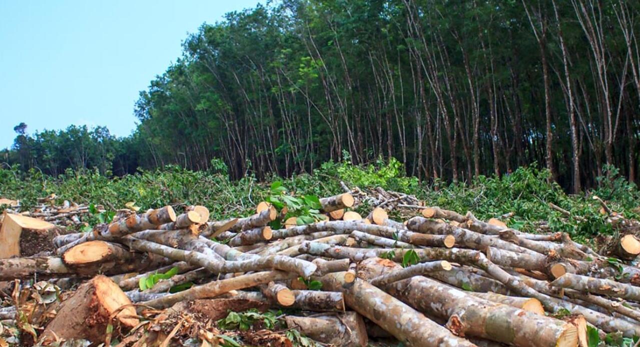 地球变暖宇宙空间会变暖吗,全球变暖什么时候开始降温