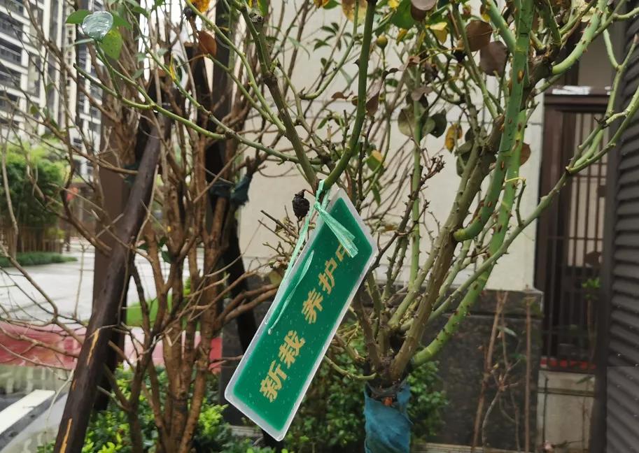 阜阳最新交付“红黑榜”！8大品质小区好评！4大新盘交付被投诉…