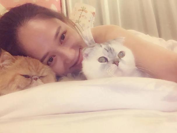 猫突然猝死有先兆吗,猫多久不会猝死