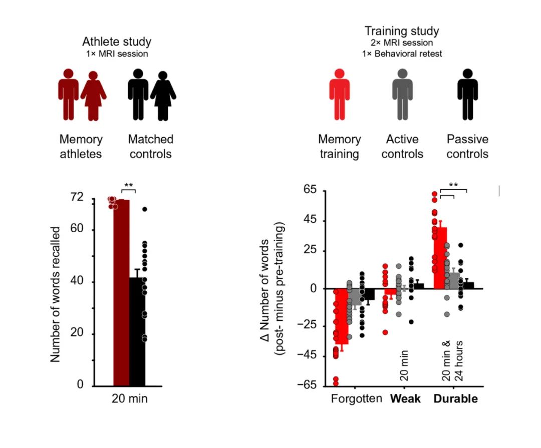 福尔摩斯记忆训练,福尔摩斯记忆法教学