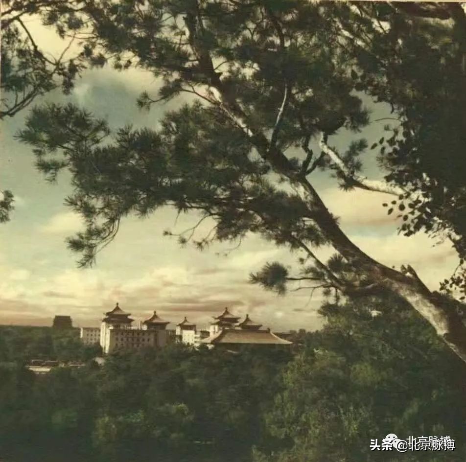 记忆中的北京绘画,这些画最能还原真实的老北京