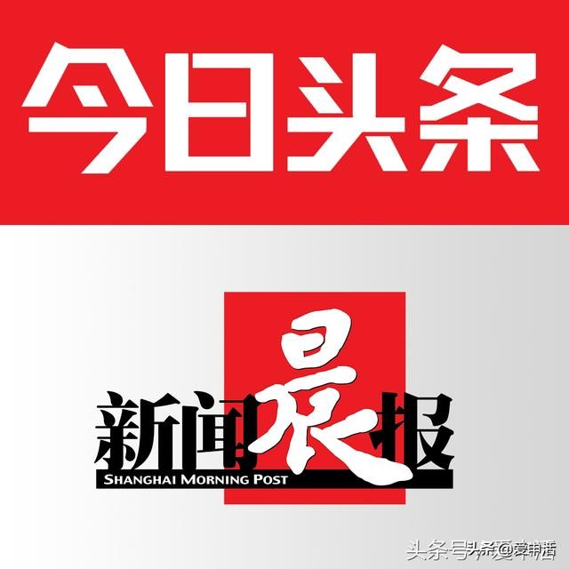 ip网红营销方案,ip网红运营流程