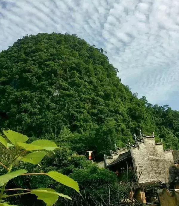 阳朔遇龙河附近有哪些民宿,阳朔遇龙河山水居民宿