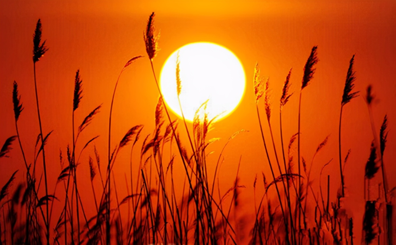 用爱托起明天的太阳—北票市桃园初级中学创建品牌学校纪实