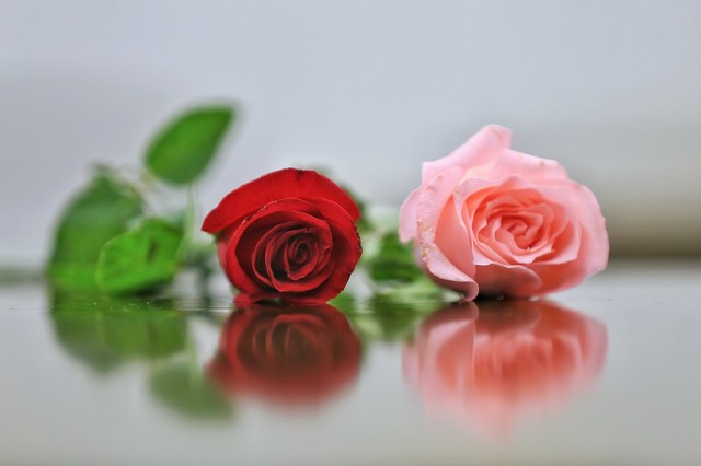 断情散DJ版,断情散完整歌曲