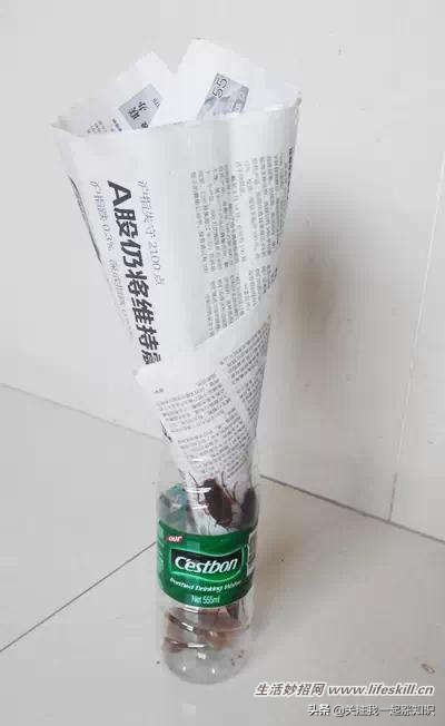 巧用矿泉水瓶捉蟑螂,矿泉水瓶除蟑螂最简单的方法