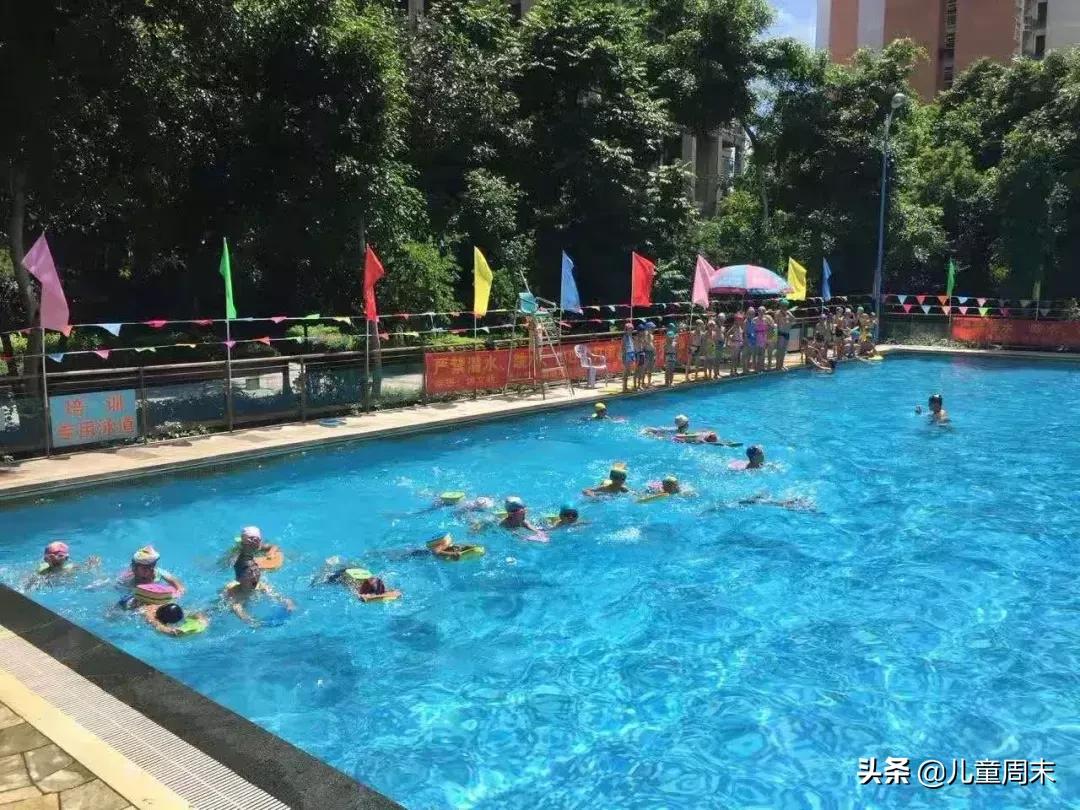 深圳游泳教练培训学校有哪些,深圳成人游泳培训班哪里好