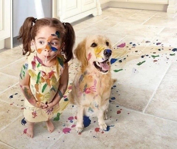 伊莱克斯洗衣机14105测评,伊莱克斯ewt9022wg洗衣机怎么样