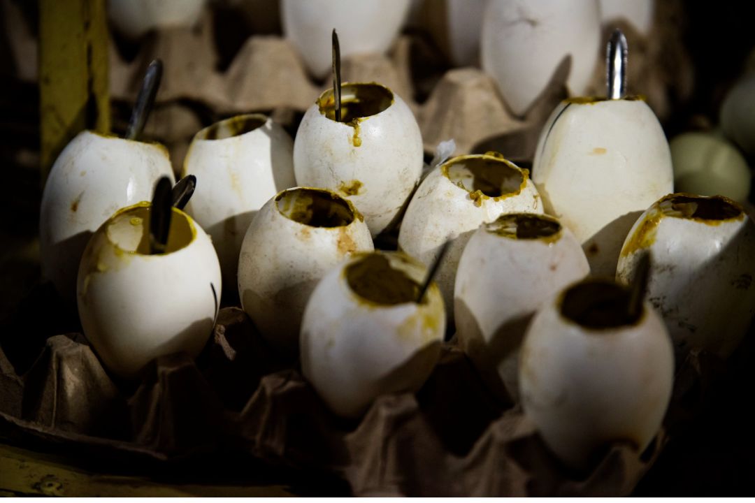 新疆和田夜市什么美食最好吃,和田夜市哪家的胡辣羊蹄好吃