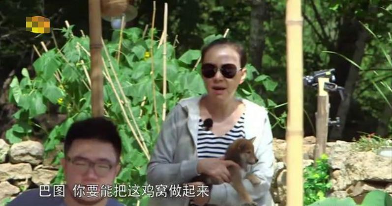 宋丹丹综艺笑傲江湖,宋丹丹综艺表现过于强势