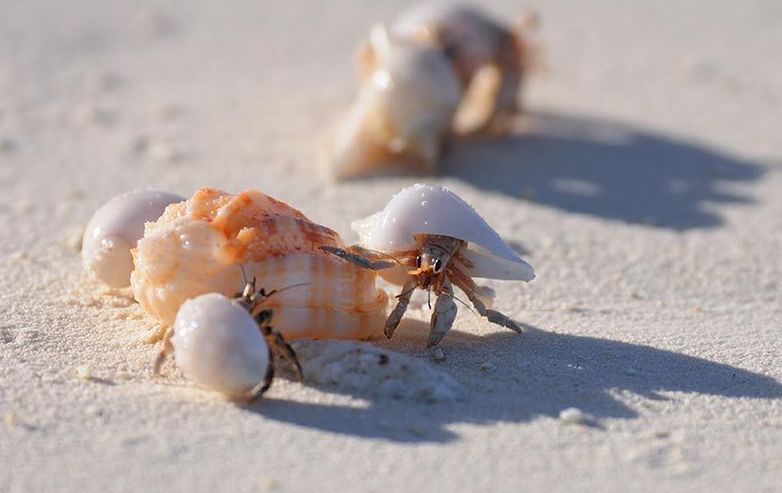 从A到Z，帕劳这个海岛国家远比你想象中更精彩