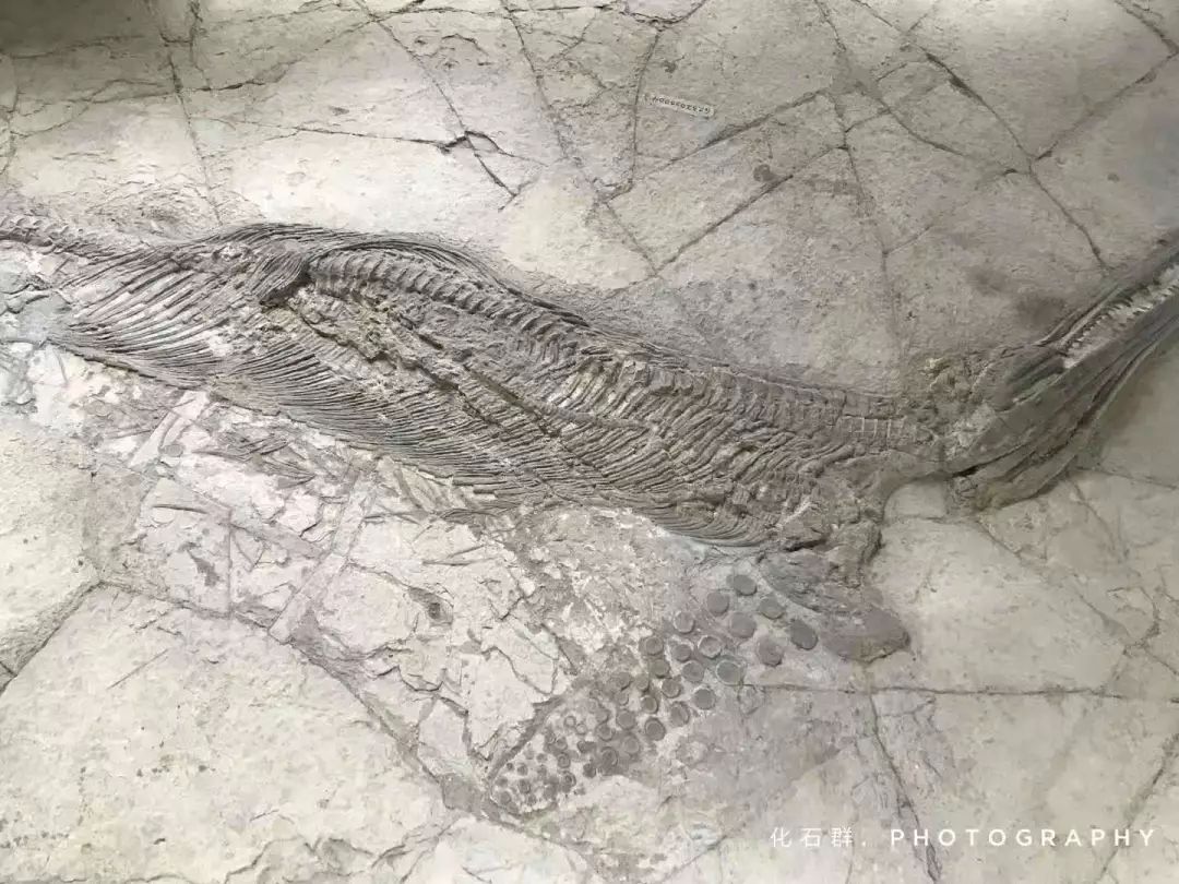 错峰游旅行,安顺适合1-2天短途旅游