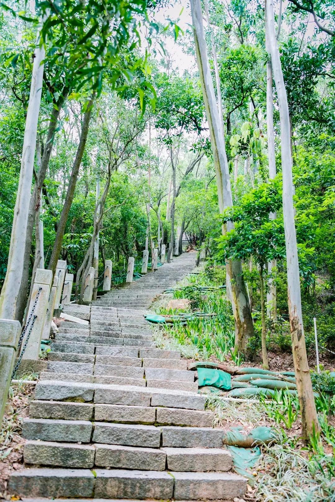 深圳值得去的地标,深圳值得去的景点排行榜