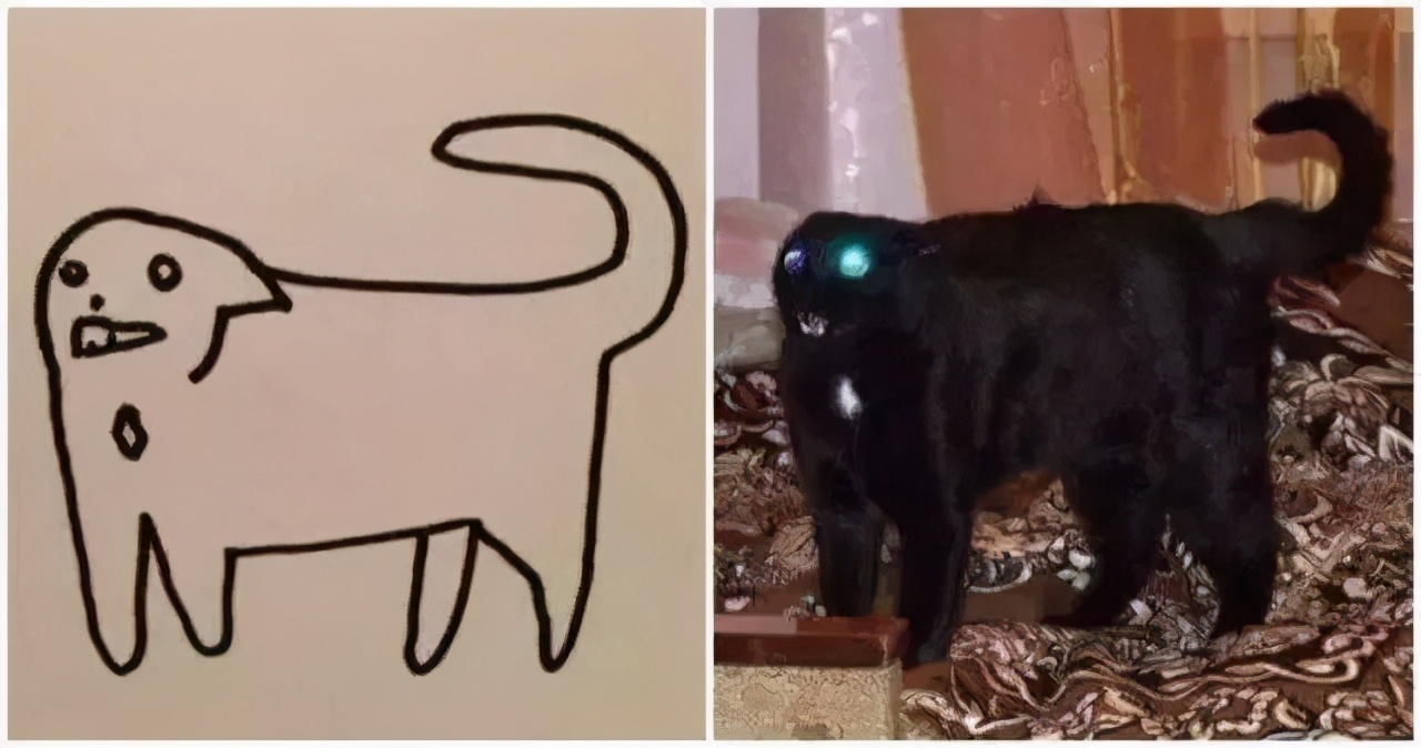 猫是固体还是液体有科学依据吗,科学家证实猫是液体