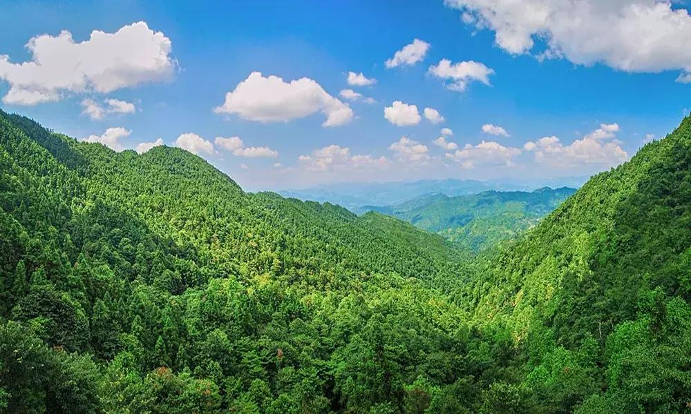 全国最宝藏的省,中国宝藏最多的省份