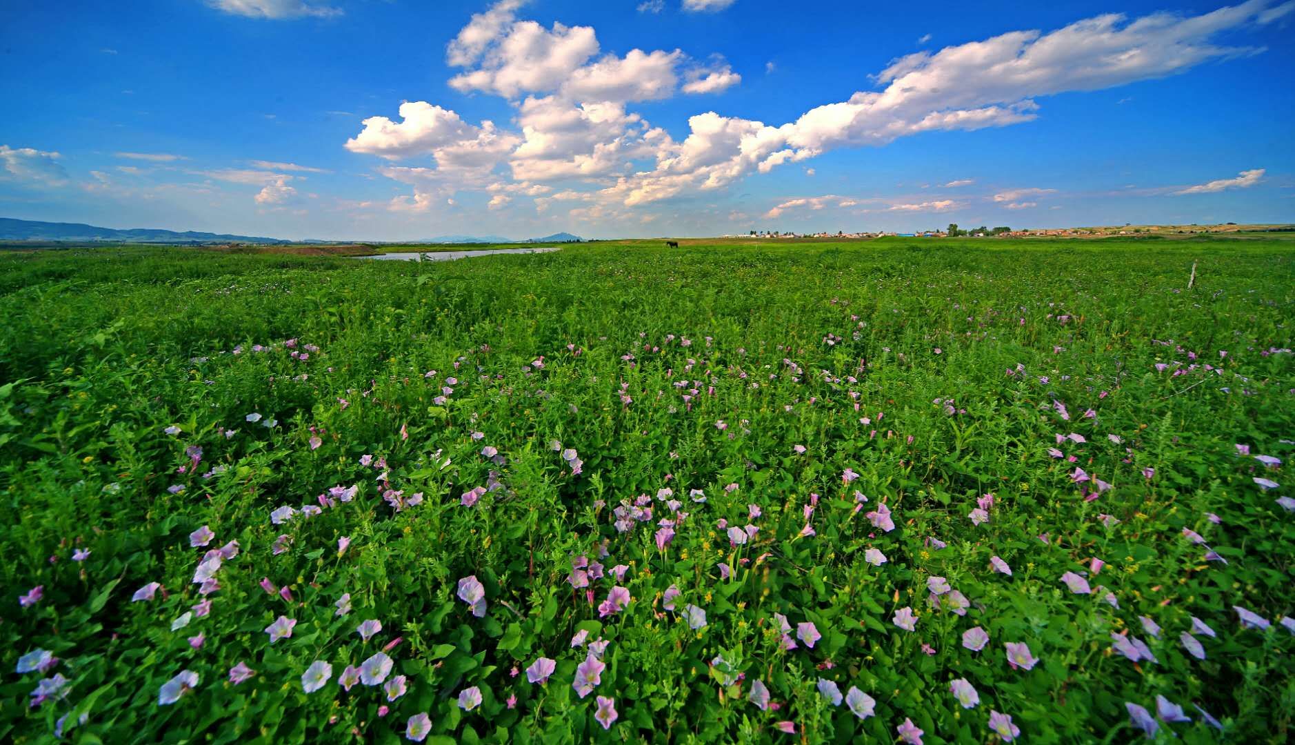 康熙一生巡访几次,康熙帝三次亲征的路线