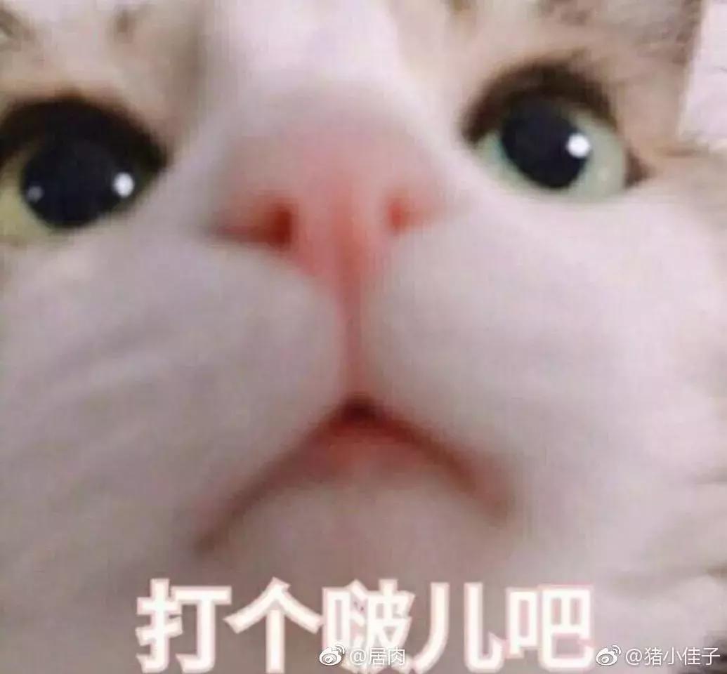 张智霖说袁咏仪爱马仕,张智霖买袁咏仪包包