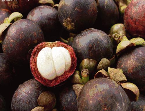 香甜山竹如何挑选,山竹怎么挑皮薄的又甜