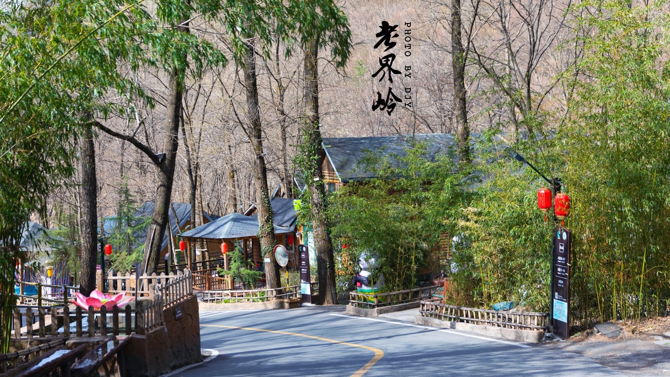 游览老界岭的感悟,河南老界岭景区