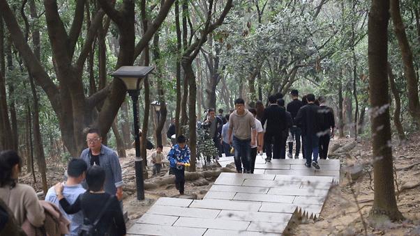 深圳这座城市很美,深圳这座城市风景太美了