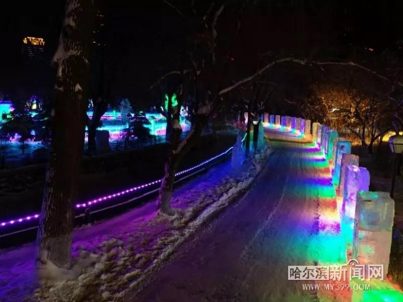 哈尔滨兆麟公园冰灯免费开放时间,哈尔滨第一届冰灯游园图片
