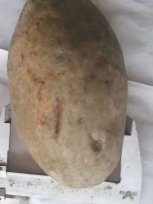 翡翠原石马崇仁 (翡翠大王马崇仁讲解翡翠赌石知识)