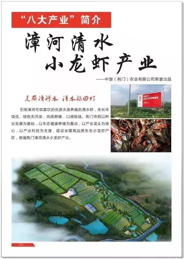 “荆品名门”荣获2019年“中国农业品牌建设学府奖”
