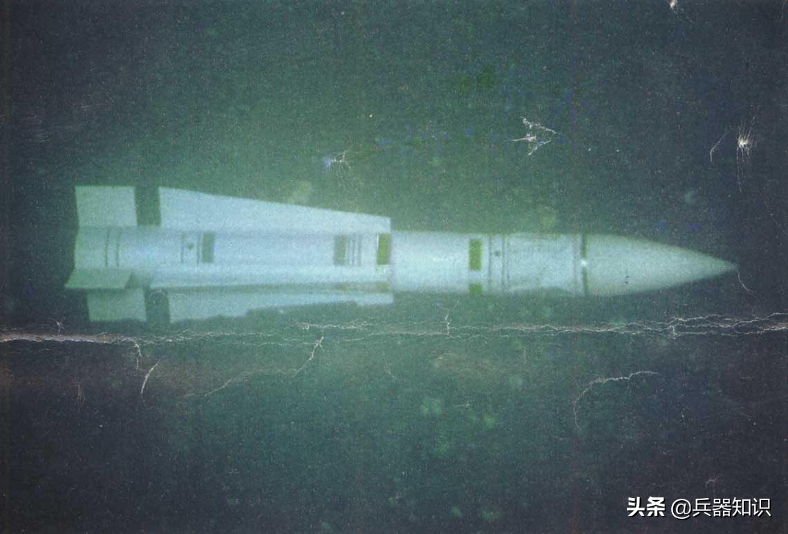 鸟中之王排行榜,鸟中之王