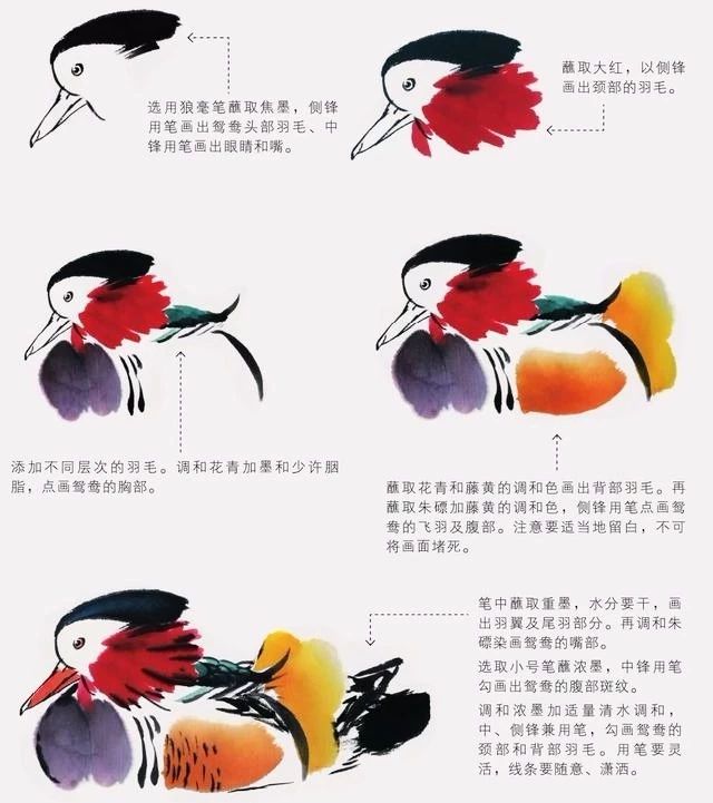 国画怎么把鸟画的活灵活现,如何画鸟要好看