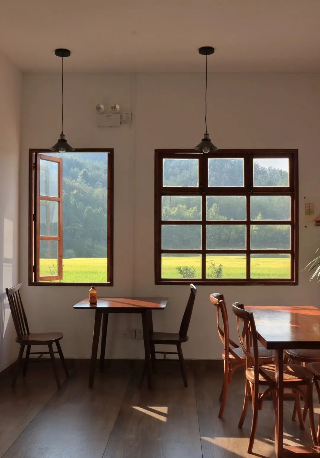 浙江特色美食小吃推荐,浙江特色美食小吃排行榜