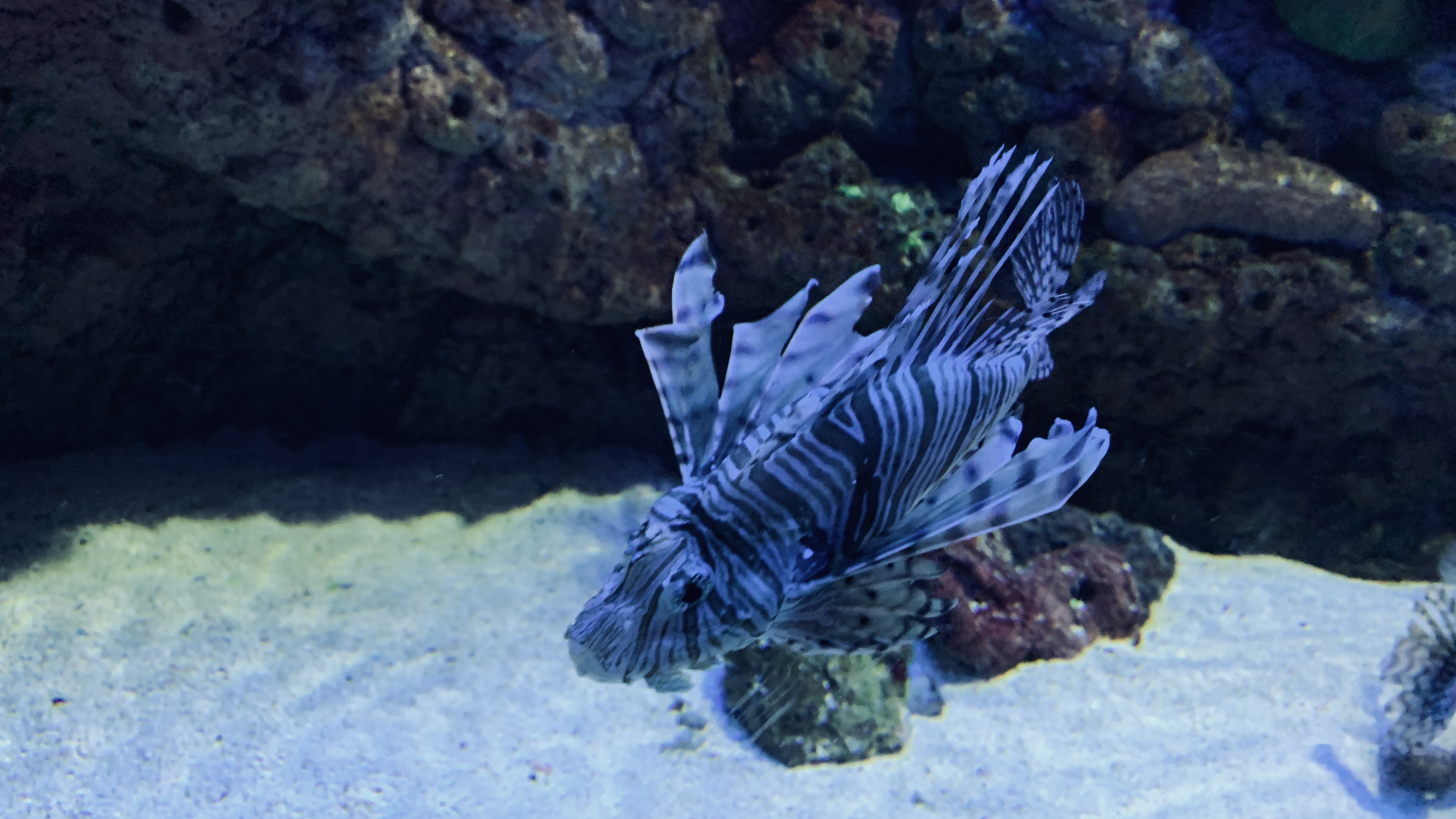 北京富国海底世界周围景点,工体富国海底世界游览攻略