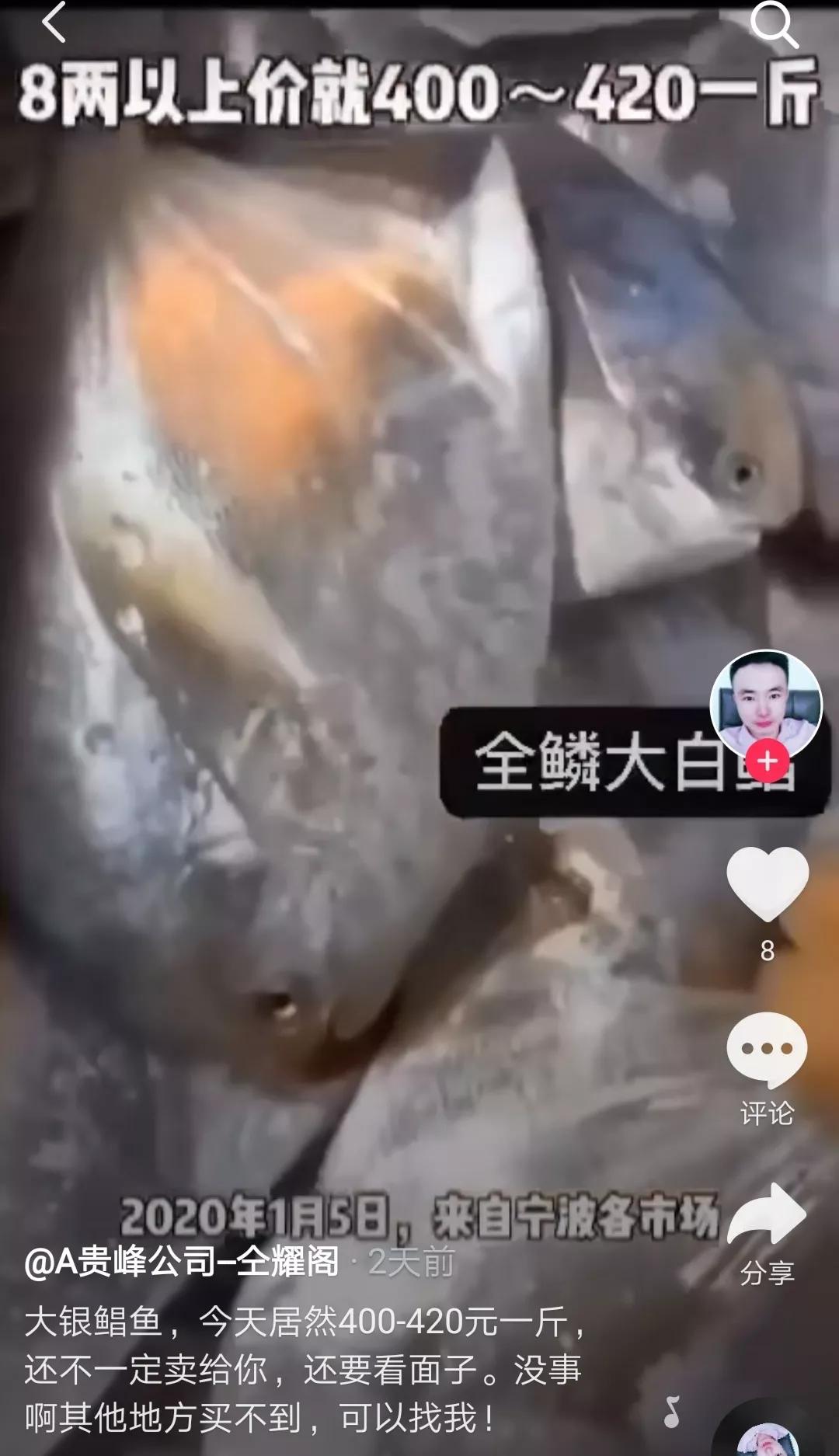 舟山白鲳,舟山的大白鲳