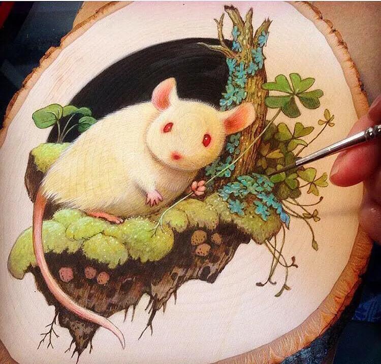 关于宅的幽默句子,形容宅在家里的幽默的说说