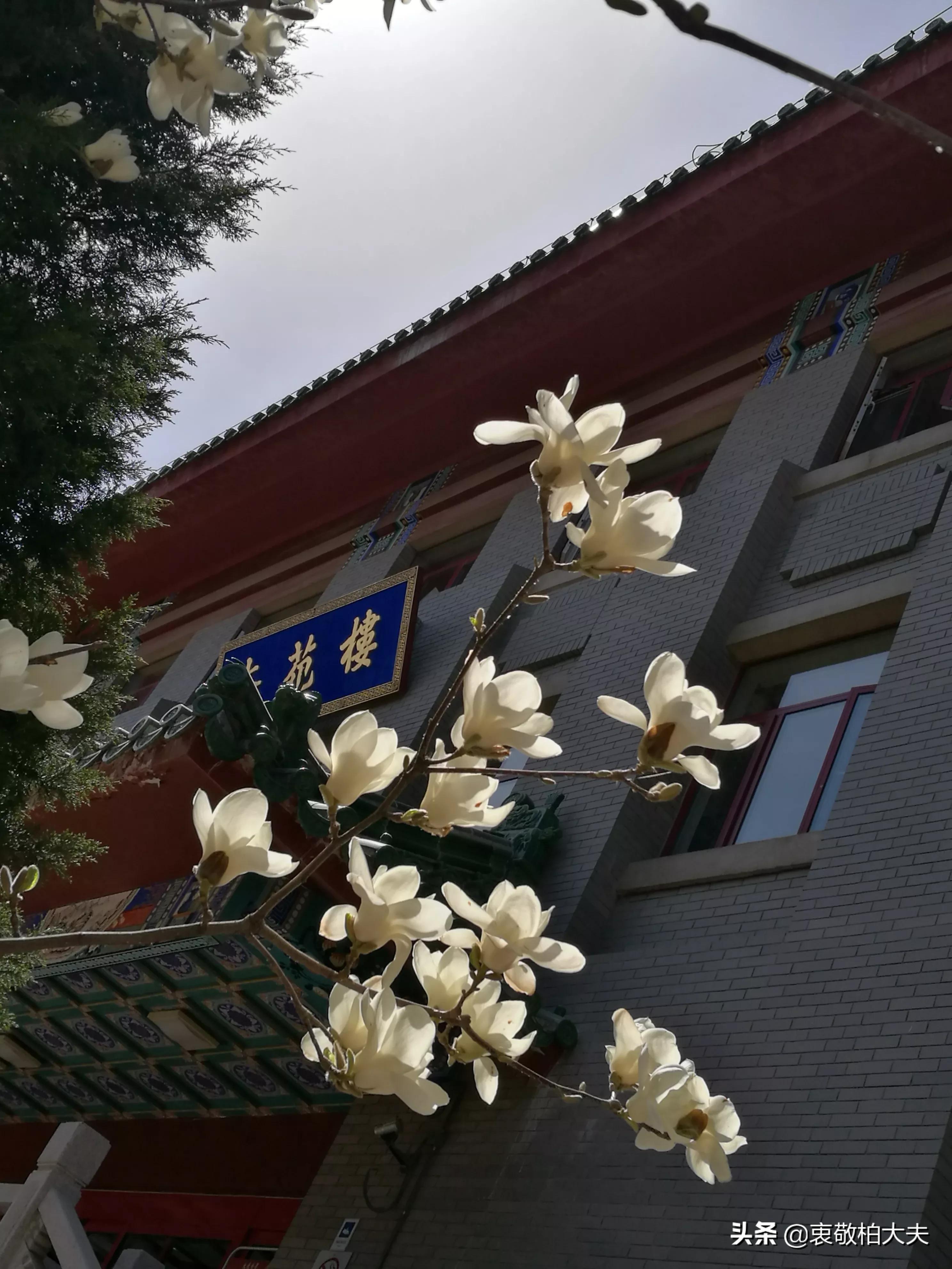 泡水喝的中药怎么泡,泡好了喝不了的中药如何处理