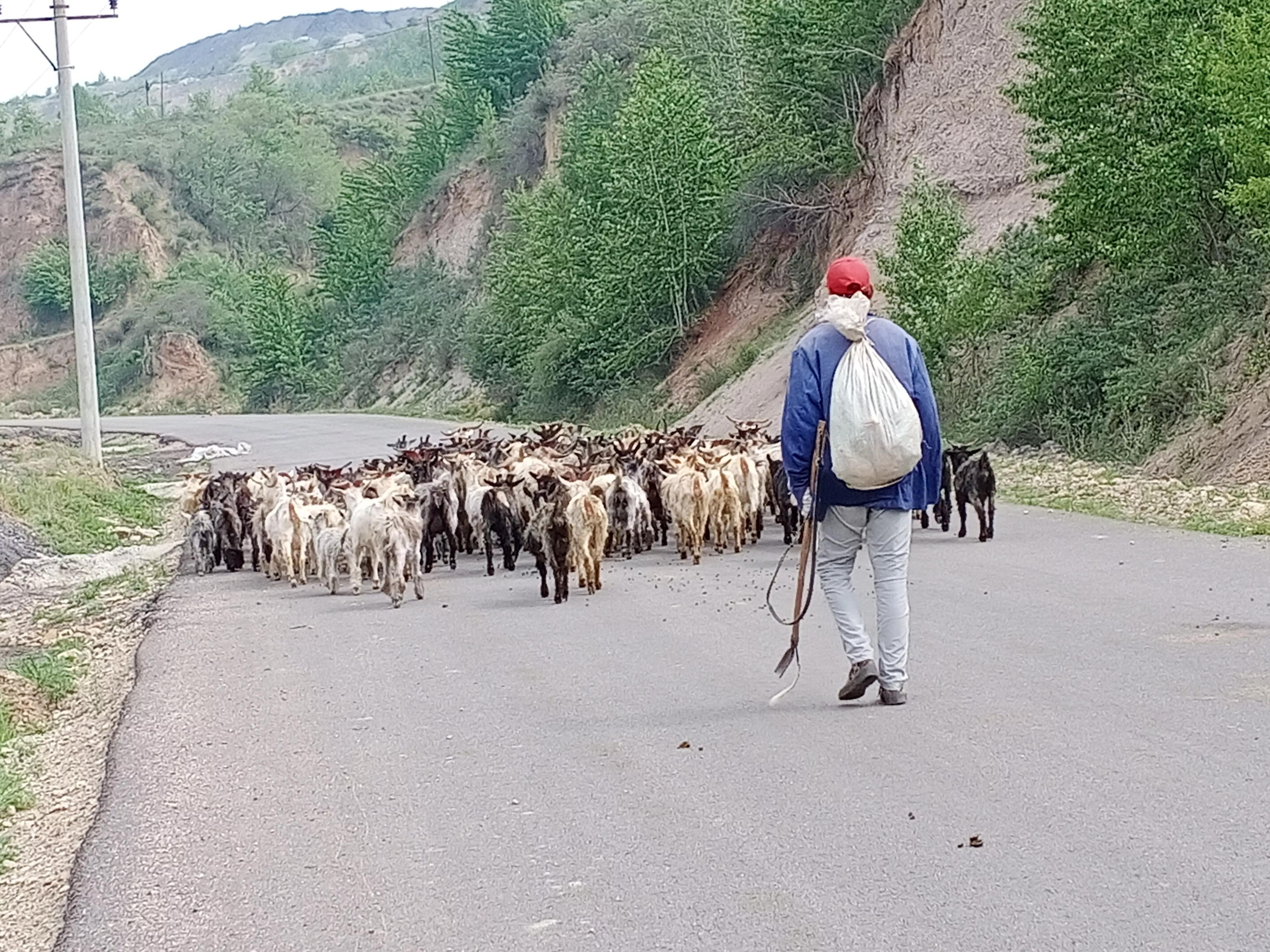 五峰山景区视频,五峰旅游景区