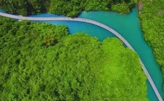 2022骞存仼鏂藉晢涓氶瓍鍔涙帓琛屾,榄呭姏鎵撳崱涔嬪煄鎭╂柦