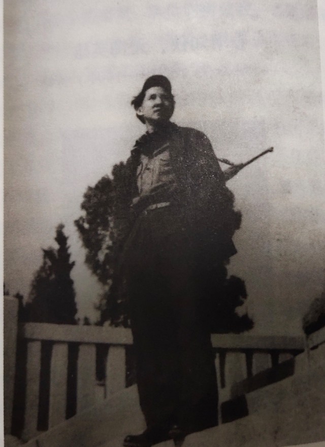 枣庄抗日战役,刘知侠的抗日小说