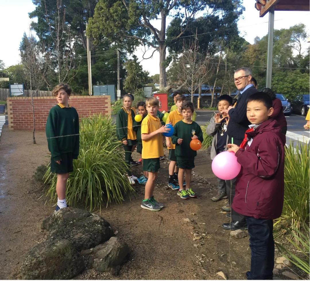 南京市金陵小学简介,南京市金陵小学多少个班
