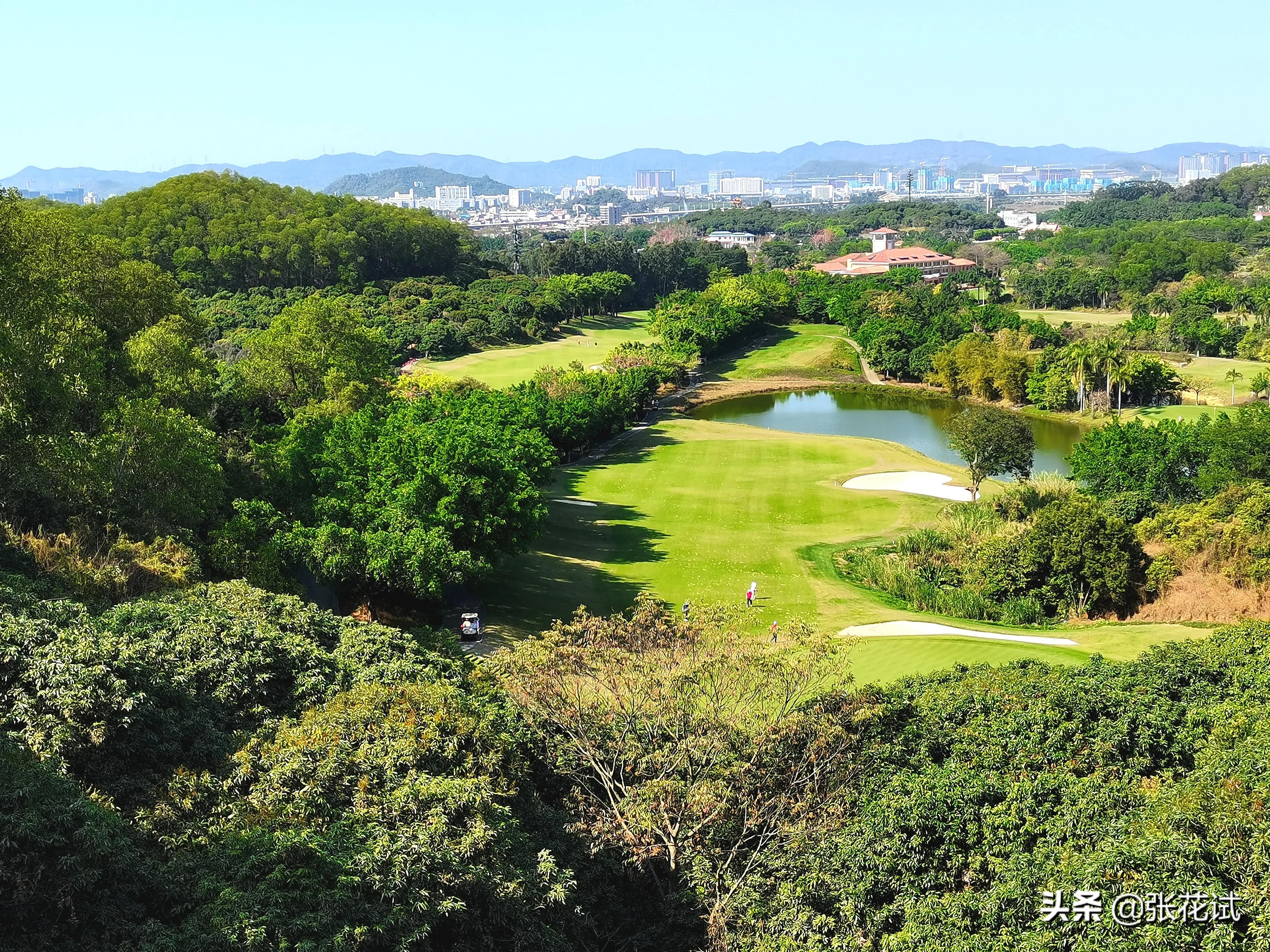 新春踏上深圳光明“虹”地毯，牛年红红火火