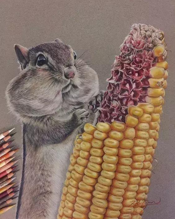 彩铅如何画得非常细腻,彩铅画的很好看零基础