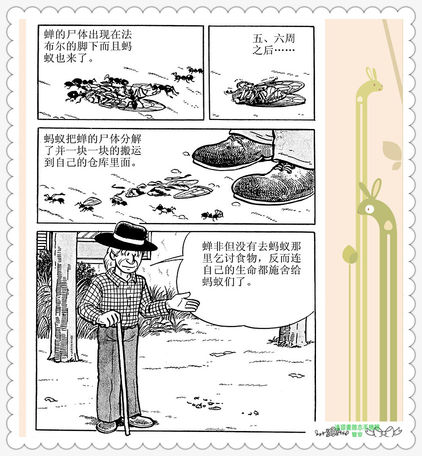 昆虫记法布尔动画片,昆虫记法布尔全套