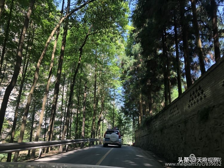 中国百慕大黑竹沟了解一下,穿越黑竹沟揭秘中国百慕大