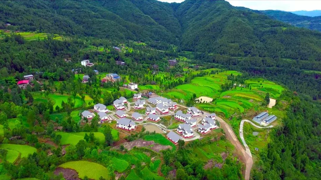 今天,我要夸夸我的通江