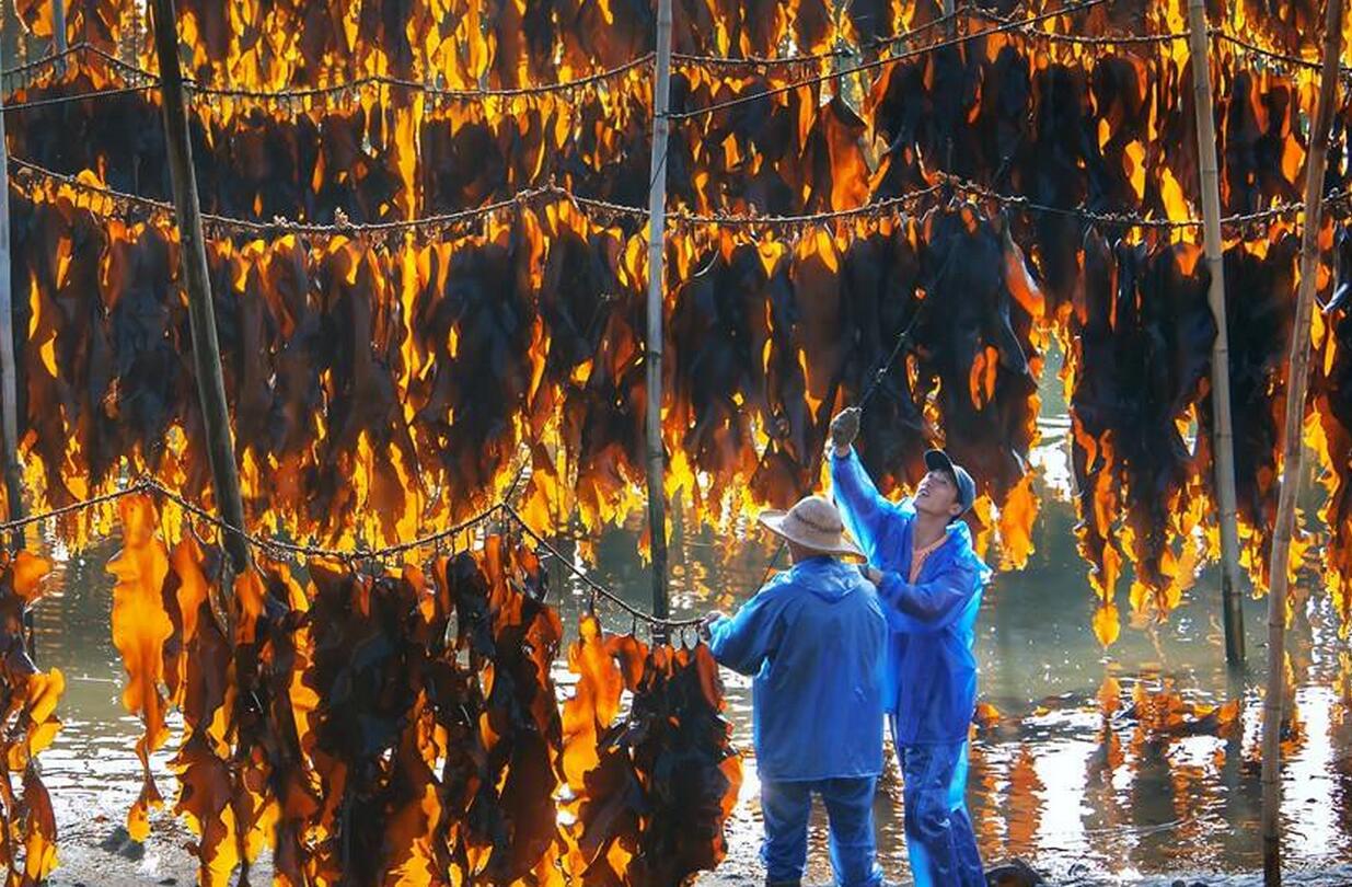 补碘高的食物,补碘元素的食物