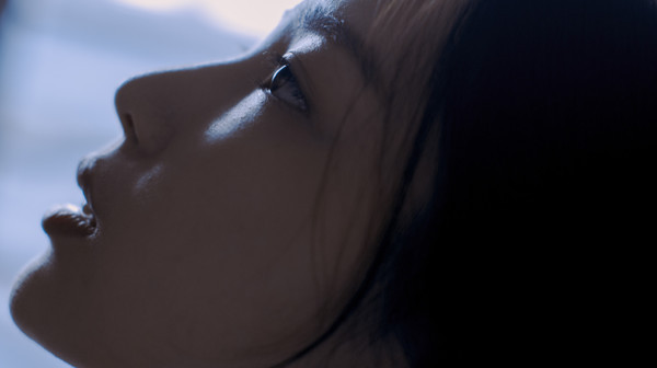 摄影教程30天0基础变身摄影达人,超全的摄影干货