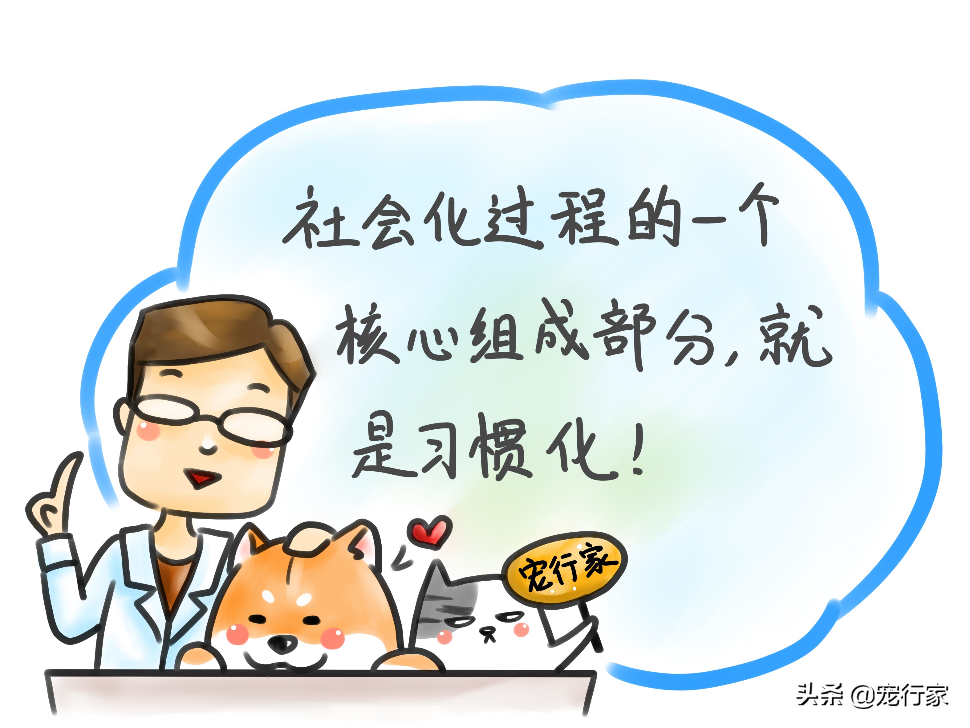 怎么对狗社会性训练,狗到底要怎么训练