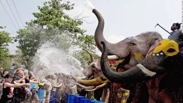 泰国最热闹泼水节,泰国泼水节最好的是哪一天